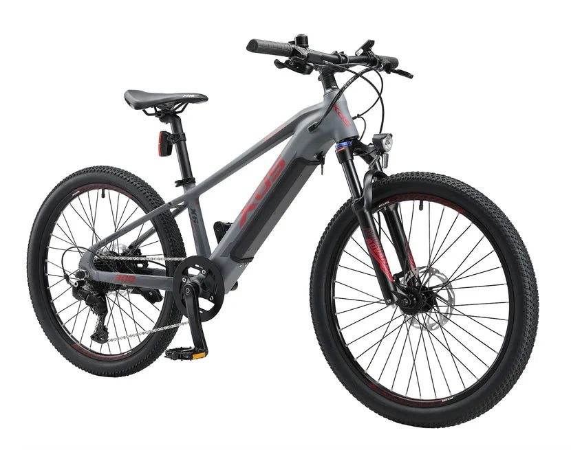Xds Advance 300 Mtb E-bike 24 Inch