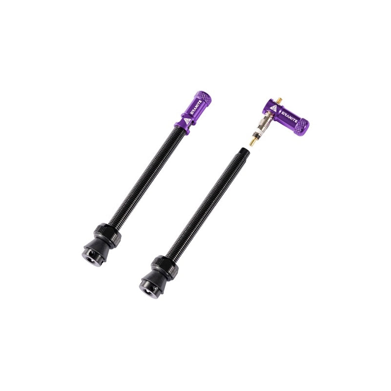 Granite Design Juicy - Valve Stem With Valve Cap 80MM - 2PC