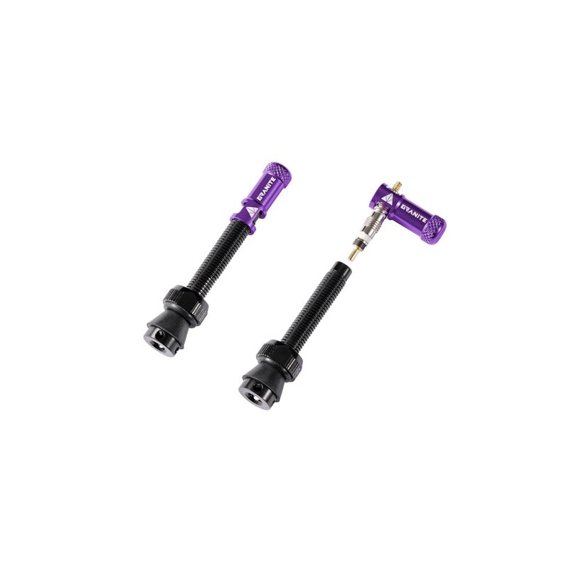 Granite Design Tubeless Valves With Juicy Nipple Valve Cap Pair