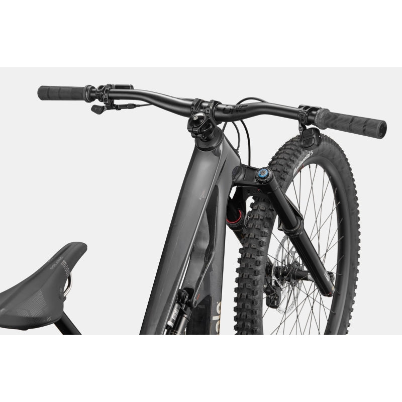 Cannondale Bad Habit 1 Raw