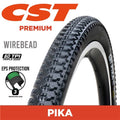 Cst Pika 700 X 38 Wire Eps